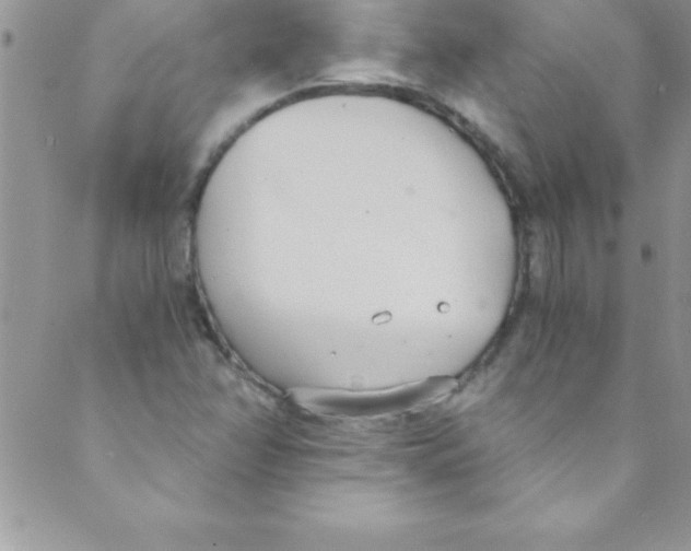 X0000088841358200707051437