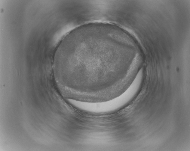 X0000088841359200707051437