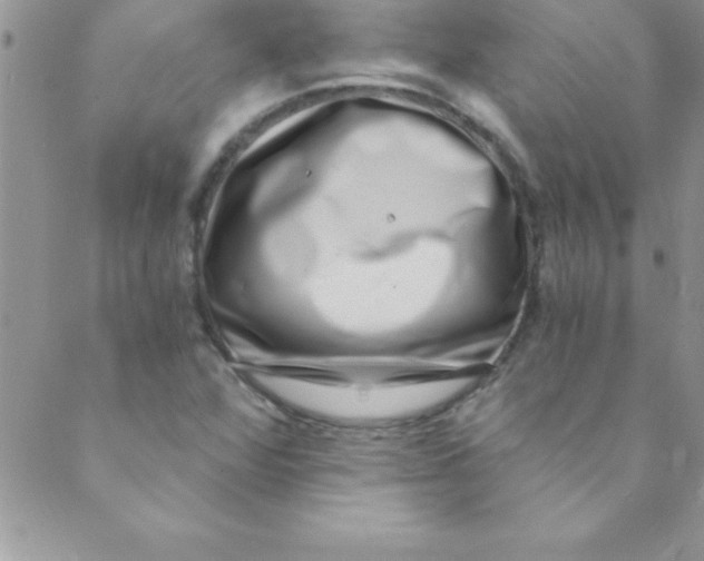 X0000088841360200707051437