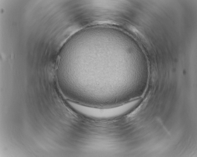 X0000088841361200707051437