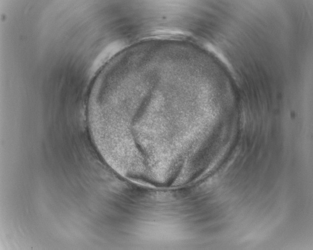 X0000088841362200707051437