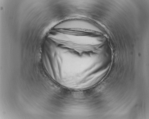 X0000088841363200707051437