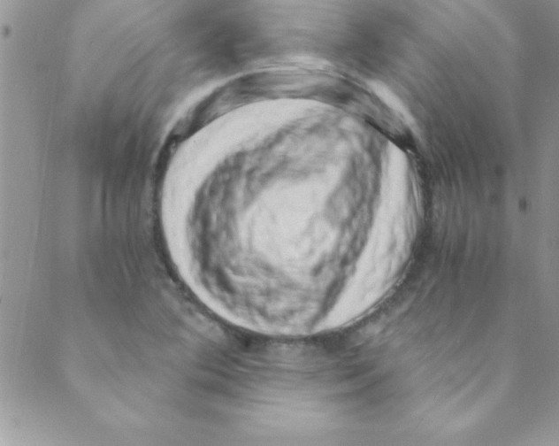 X0000088841364200707051437