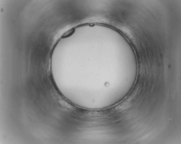 X0000088841366200707051437