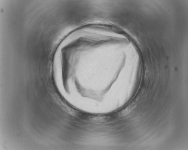 X0000088841367200707051437