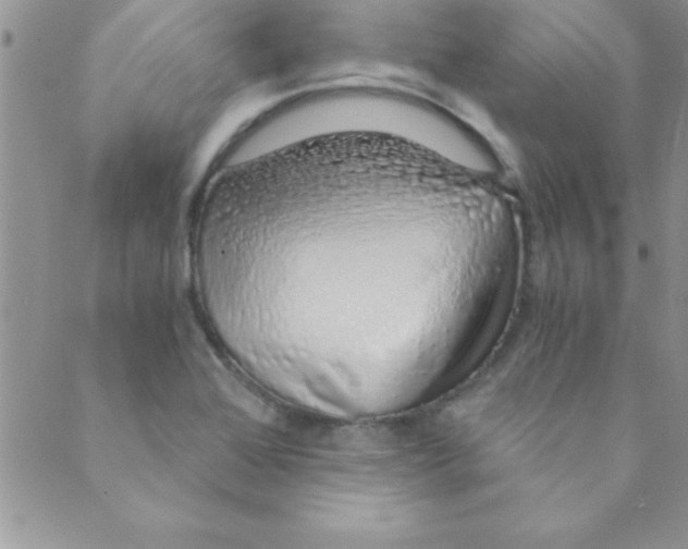 X0000088841368200707051437