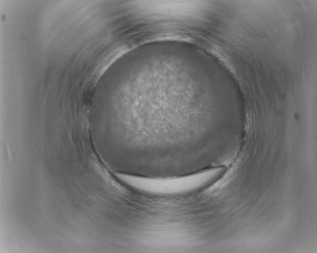 X0000088841369200707051437