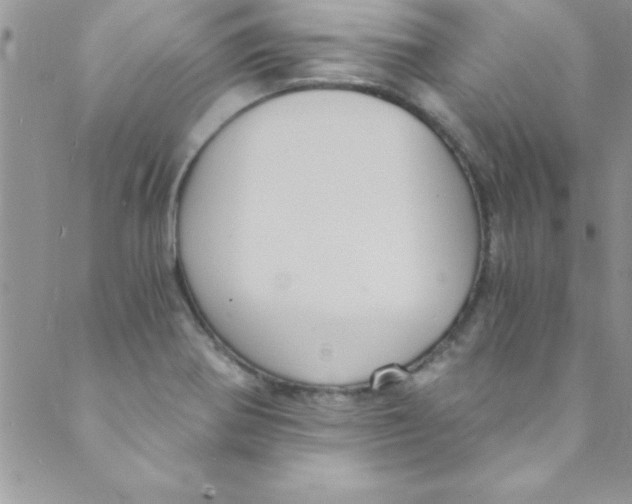 X0000088841370200707051437