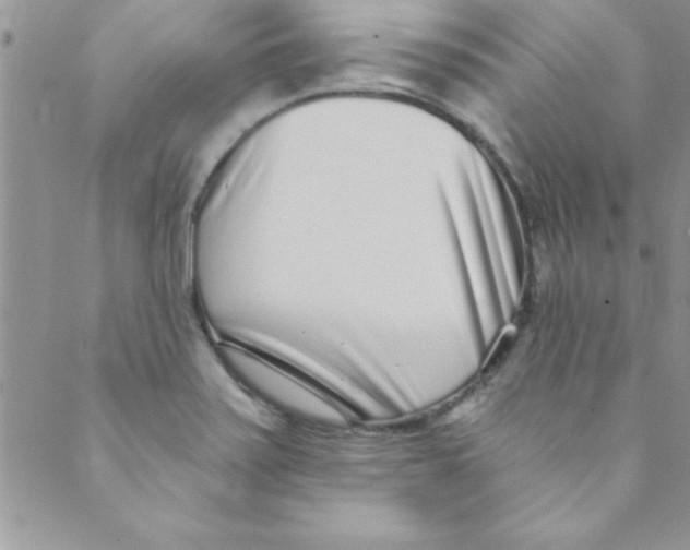 X0000088841371200707051437