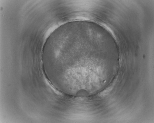 X0000088841373200707051437