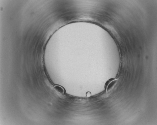 X0000088841374200707051437