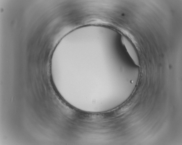 X0000088841375200707051437