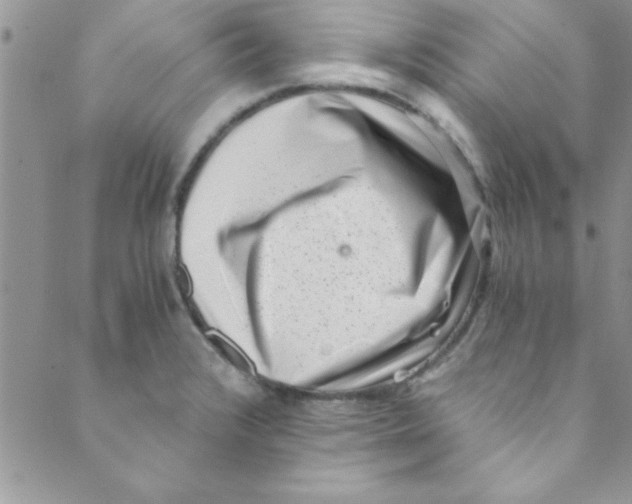 X0000088841376200707051437