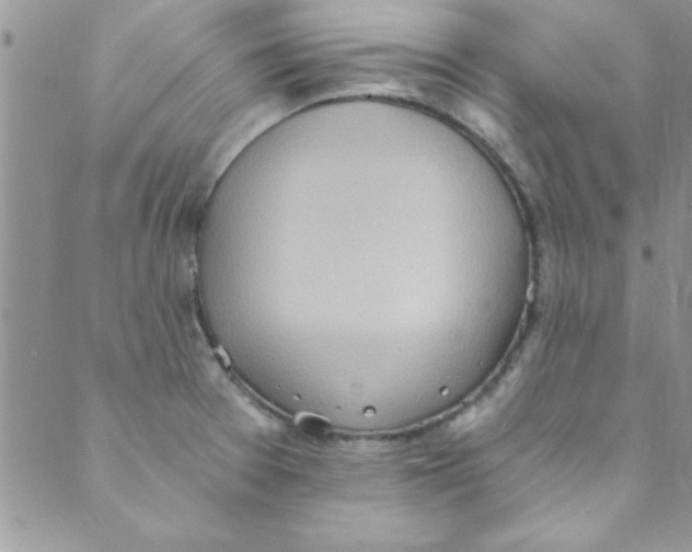 X0000088841377200707051437