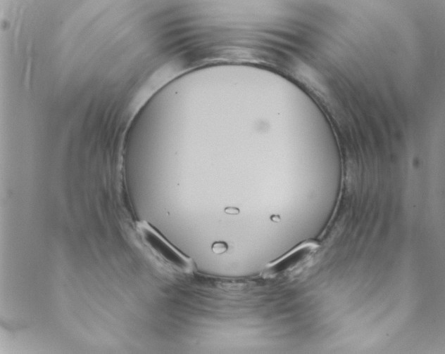 X0000088841378200707051437