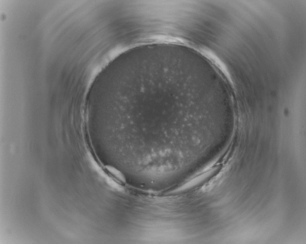 X0000088841381200707051437