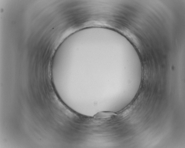 X0000088841382200707051437