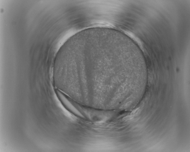 X0000088841383200707051437