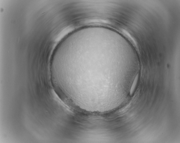 X0000088841384200707051437