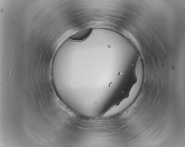 X0000088841386200707051437