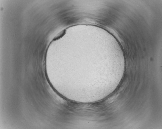 X0000088841387200707051437