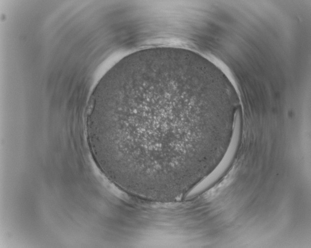 X0000088841389200707051436