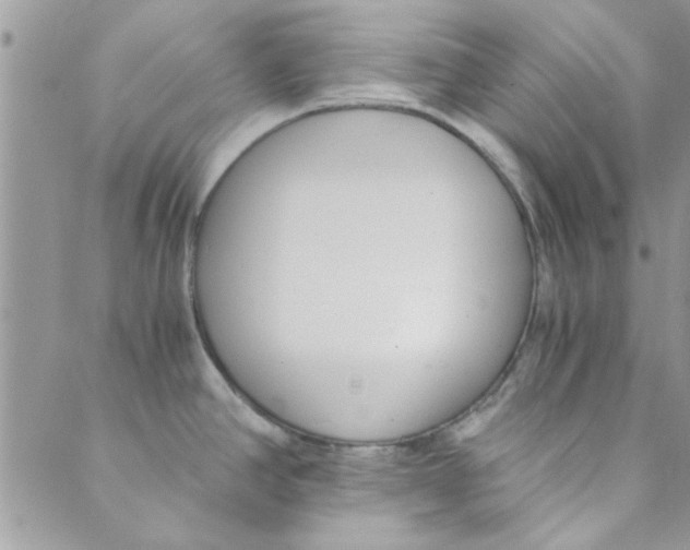 X0000088841390200707051436