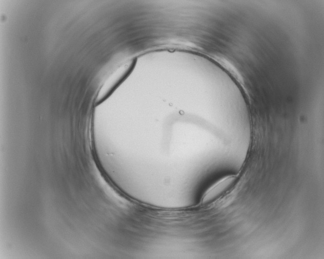 X0000088841391200707051436