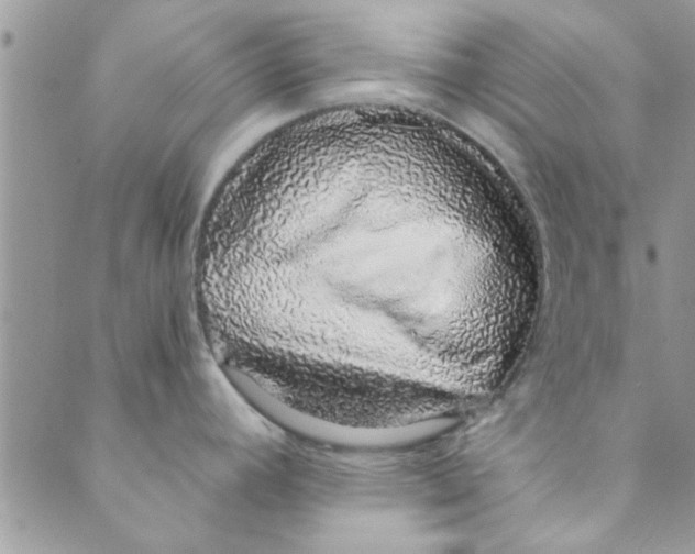 X0000088841392200707051436