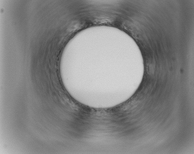 X0000088841393200707051436