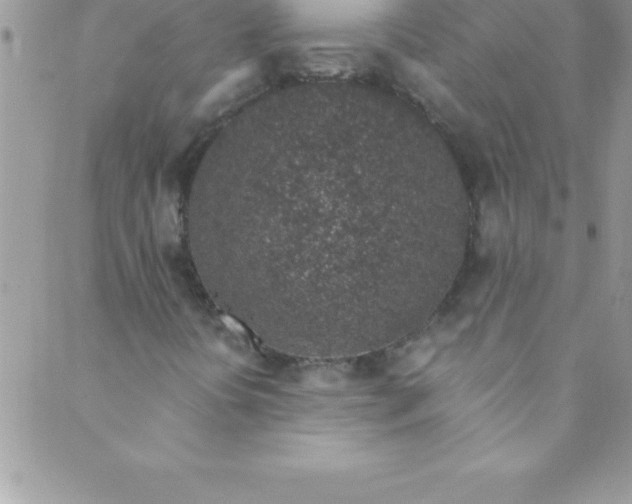 X0000088841394200707051436