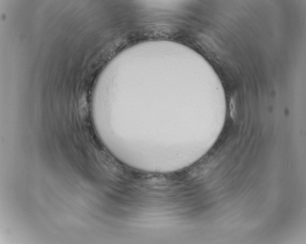 X0000088841395200707051436