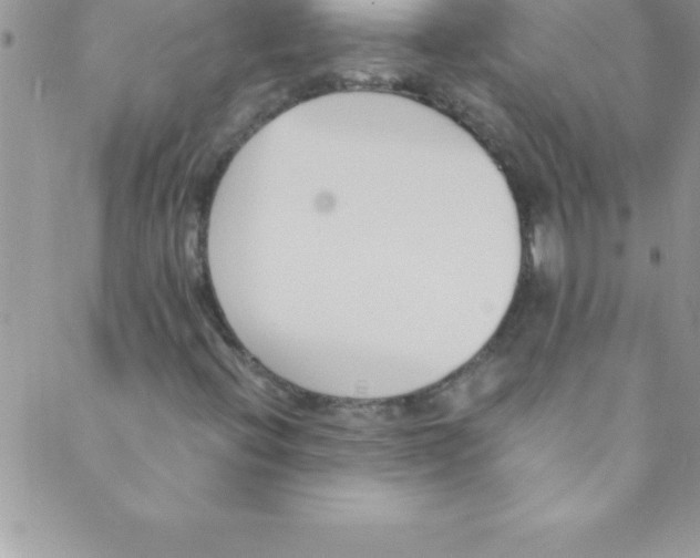 X0000088841396200707051436