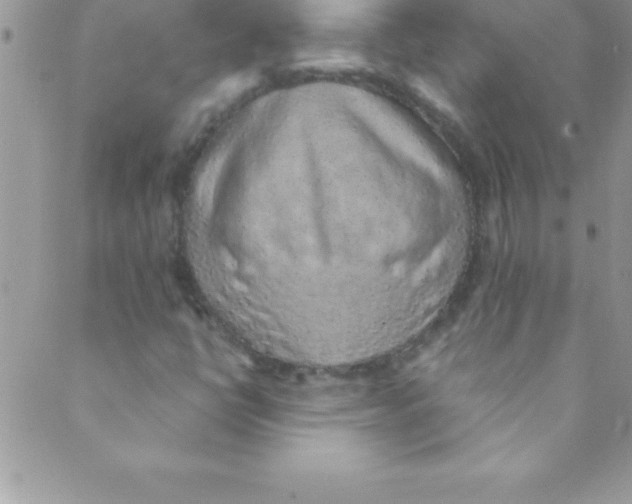 X0000088841398200707051436