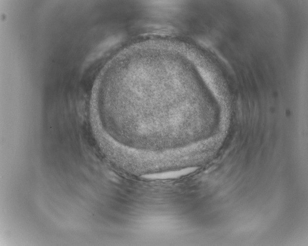 X0000088841399200707051436