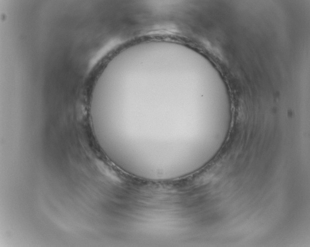 X0000088841400200707051436