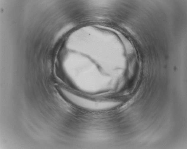 X0000088841402200707051436