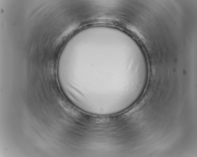 X0000088841403200707051436