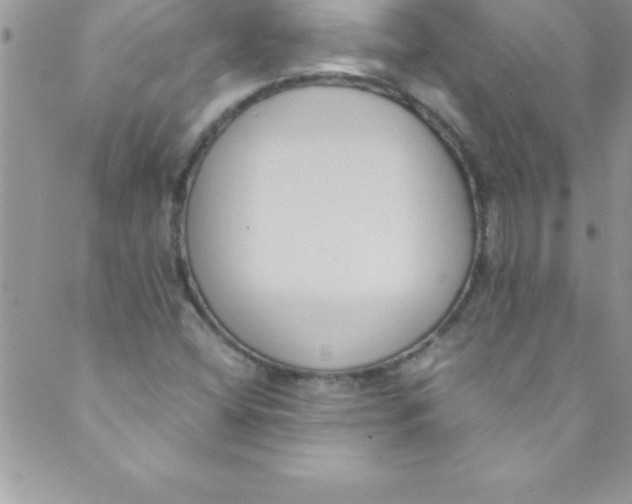 X0000088841404200707051436