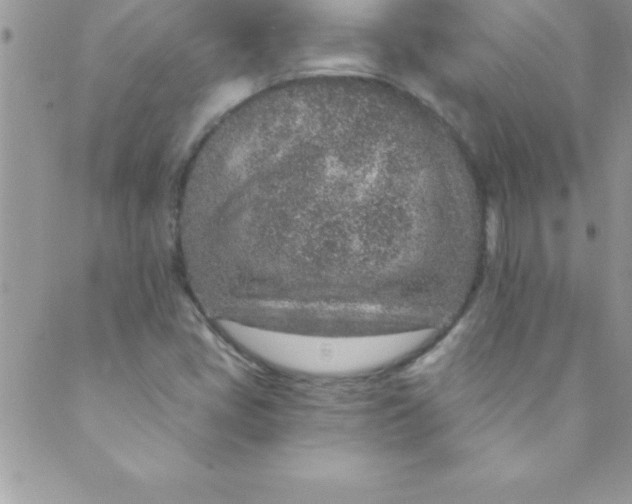 X0000088841405200707051436