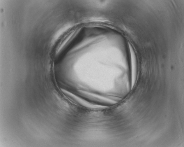 X0000088841406200707051436