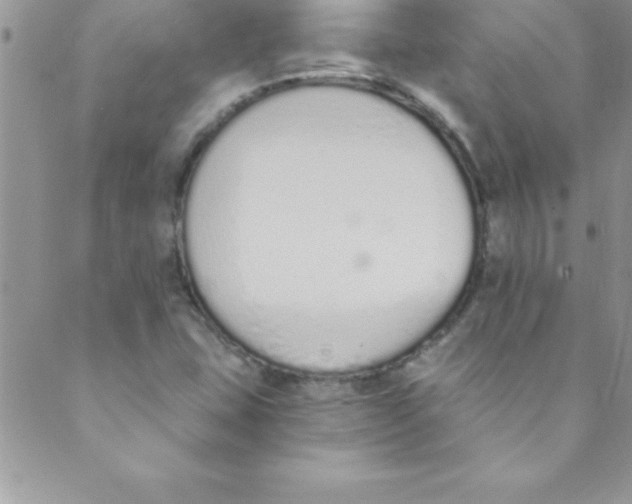 X0000088841407200707051436