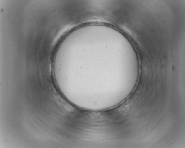 X0000088841408200707051436