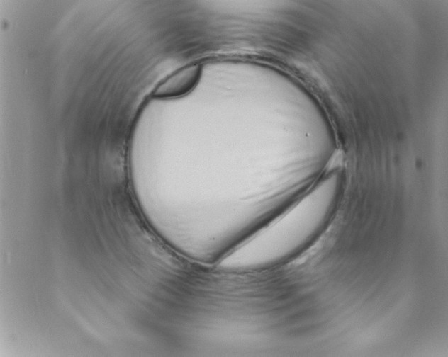 X0000088841409200707051436