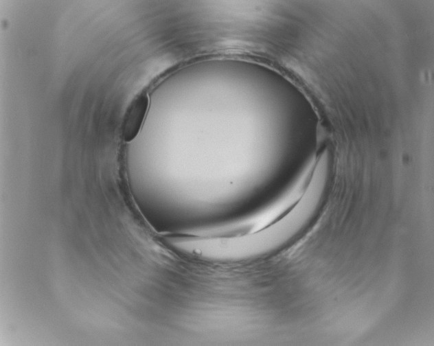 X0000088841410200707051436