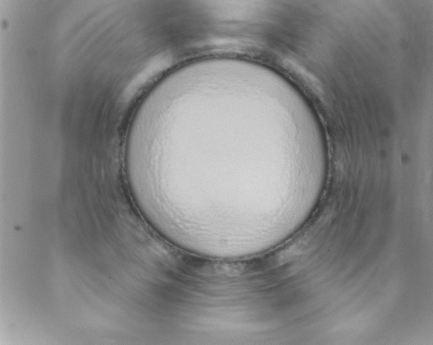 X0000088841411200707051436