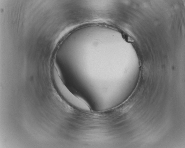 X0000088841412200707051436