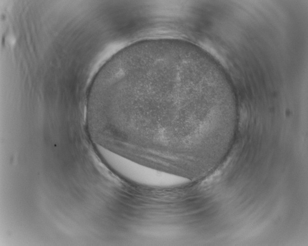 X0000088841413200707051436