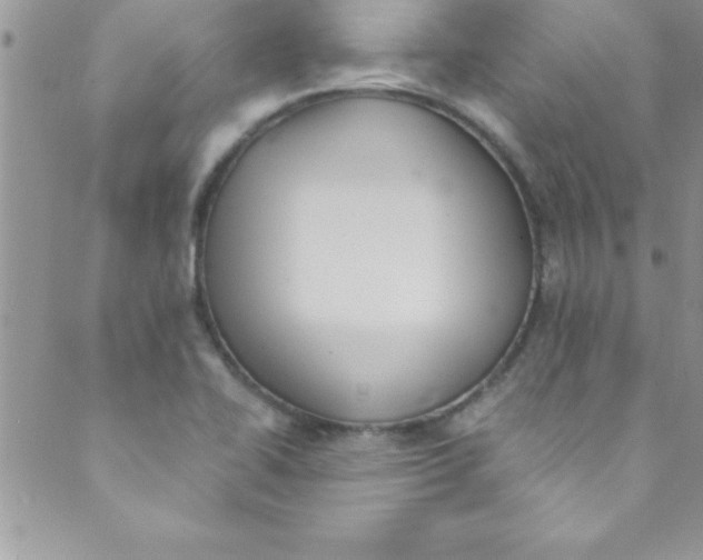 X0000088841414200707051436