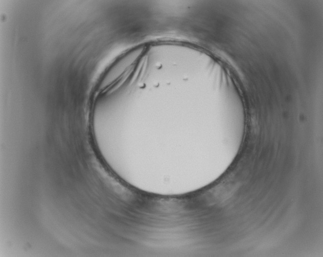 X0000088841416200707051436